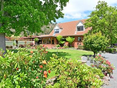 House For Sale - TAS - Sorell Creek - 7140 - Waterfront Living with Space, Versatility & Endless Potential (Image 2)