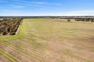 Mixed Farming For Sale - VIC - Elmore - 3558 - Versatile Rural Holding with Creek Frontage  (Image 2)
