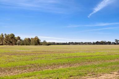 Mixed Farming For Sale - VIC - Elmore - 3558 - Versatile Rural Holding with Creek Frontage  (Image 2)
