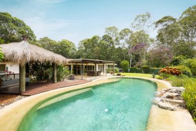 House Auction - QLD - Tinbeerwah - 4563 - "Moorooka" | 10+ Acres in Blue Chip Noosa Hinterland - Deceased Estate  (Image 2)
