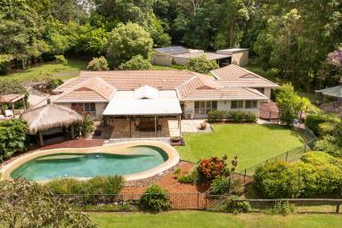 House Auction - QLD - Tinbeerwah - 4563 - "Moorooka" | 10+ Acres in Blue Chip Noosa Hinterland  (Image 2)