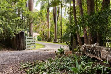 House For Sale - QLD - Tinbeerwah - 4563 - "Moorooka" | 10+ Acres in Blue Chip Noosa Hinterland - Deceased Estate  (Image 2)