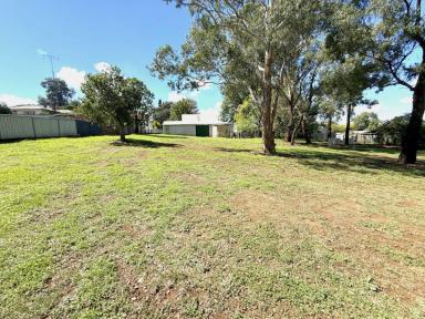 House For Sale - NSW - Young - 2594 - Prime Potential & Sub-Division Potential  (Image 2)