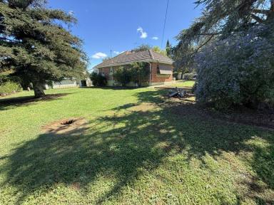 House For Sale - NSW - Young - 2594 - Prime Potential & Sub-Division Potential  (Image 2)