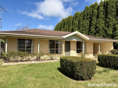 House For Lease - NSW - Welby - 2575 - A neat, low maintenance Welby Home  (Image 2)