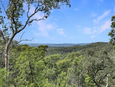 Lifestyle For Sale - NSW - Laguna - 2325 - Diverse Bushland Sanctuary  (Image 2)