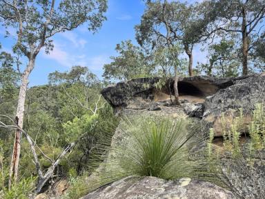 Lifestyle For Sale - NSW - Laguna - 2325 - Diverse Bushland Sanctuary  (Image 2)