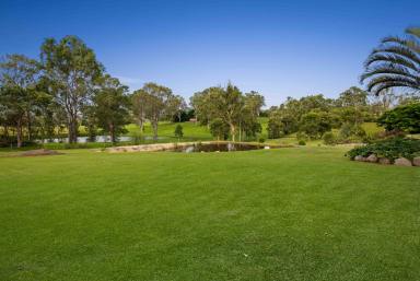 House For Sale - QLD - The Dawn - 4570 - Some homes you walk through. This one you walk into and never want to leave  (Image 2)