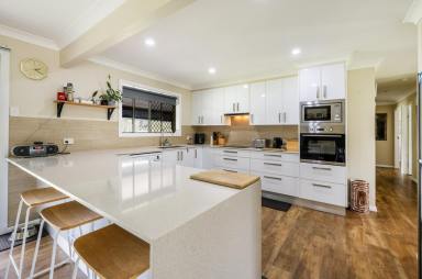 House For Lease - NSW - Coutts Crossing - 2460 - LOWSET & IMMACULATE ON 1,327SQMS WITH A SHED  (Image 2)