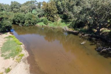 Residential Block For Sale - NSW - Cowra - 2794 - RIVER FRONTAGE WEEKEND ESCAPE!  (Image 2)
