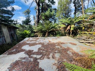 Residential Block For Sale - TAS - Zeehan - 7469 - Great Value Block in a Peaceful West Coast Setting  (Image 2)