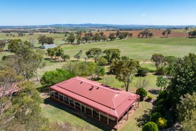 Mixed Farming For Sale - NSW - Canowindra - 2804 - Exceptional opportunity to secure a well-established mixed farming enterprise! (Image 2)