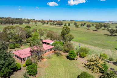 Mixed Farming For Sale - NSW - Canowindra - 2804 - Exceptional opportunity to secure a well-established mixed farming enterprise!  (Image 2)
