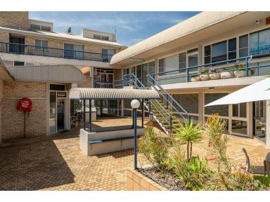 Retail For Sale - NSW - Tuncurry - 2428 - VERSATILE COMMERCIAL PROPERTY  (Image 2)