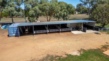 Residential Block For Sale - NSW - Leeton - 2705 - RARE OPPORTUNITY  (Image 2)