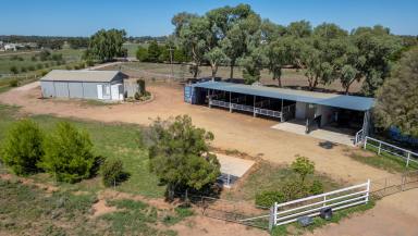 Residential Block For Sale - NSW - Leeton - 2705 - RARE OPPORTUNITY  (Image 2)