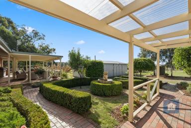 House For Sale - VIC - Elliminyt - 3250 - Country Living at its best…  (Image 2)