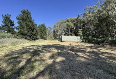 Residential Block For Sale - NSW - Mount Lambie - 2790 - 3369m² Rural‑Zoned Parcel – Space, Lifestyle & Country Appeal  (Image 2)