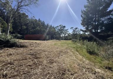 Residential Block For Sale - NSW - Mount Lambie - 2790 - 3369m² Rural‑Zoned Parcel – Space, Lifestyle & Country Appeal  (Image 2)
