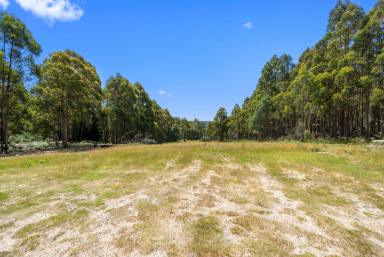 Residential Block For Sale - TAS - Ellendale - 7140 - Secluded Bush Retreat with Creek & Endless Potential  (Image 2)
