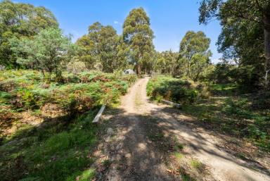 Residential Block For Sale - TAS - Ellendale - 7140 - Secluded Bush Retreat with Creek & Endless Potential  (Image 2)