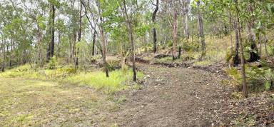 Residential Block Sold - QLD - Ellerbeck - 4816 - This could be your new outlook on life. Build your  dream rural retreat here!  (Image 2)