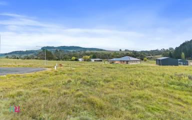 Residential Block For Sale - NSW - Lidsdale - 2790 - A Spacious 2,259m² Lifestyle Block in a Quiet Estate Setting (Image 2)