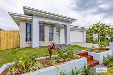 House For Lease - QLD - Plainland - 4341 - **Welcome to 3 Darling Circuit - Your Dream Home Awaits!**  (Image 2)