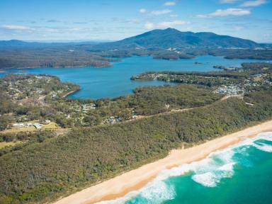 Residential Block For Sale - NSW - Wallaga Lake - 2546 - UNBEATABLE POSITION!  (Image 2)