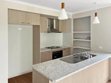 House Sold - VIC - Mildura - 3500 - Brand New Four Bedroom Home (Image 2)