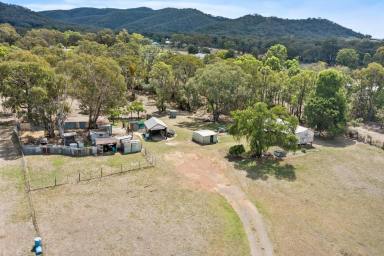 Acreage/Semi-rural Auction - NSW - Mudgee - 2850 - 5.8 ACRES OF ENDLESS POTENTIAL ON TOWNS DOORSTEP  (Image 2)