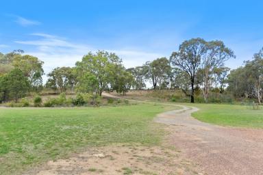 Acreage/Semi-rural Auction - NSW - Mudgee - 2850 - 5.8 ACRES OF ENDLESS POTENTIAL ON TOWNS DOORSTEP  (Image 2)