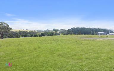 Residential Block For Sale - NSW - Lidsdale - 2790 - A Generous 2,000m² Lifestyle Block in a Peaceful Estate Setting  (Image 2)