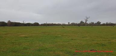 Lifestyle For Sale - WA - Cookernup - 6219 - Farm 1  (Image 2)