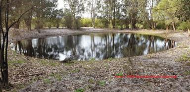 Lifestyle For Sale - WA - Cookernup - 6219 - Farm 1  (Image 2)