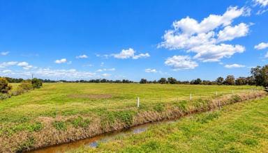 Lifestyle For Sale - WA - Yarloop - 6218 - Rare 32Ha Yarloop Holding - Lifestyle Today, Significant Investment Potential for Tomorrow  (Image 2)