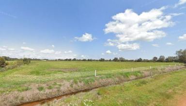 Lifestyle For Sale - WA - Yarloop - 6218 - Farm 3  (Image 2)