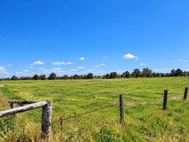 Lifestyle For Sale - WA - Yarloop - 6218 - Rare 32Ha Yarloop Holding - Lifestyle Today, Significant Investment Potential for Tomorrow  (Image 2)