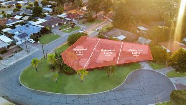 House For Sale - WA - Gosnells - 6110 - The Ultimate Corner Site with Spacious Family Home  (Image 2)
