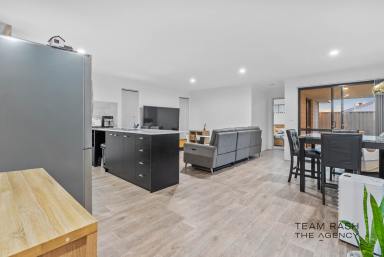 House For Sale - WA - Wellard - 6170 - Near-New Modern Living in Sought-After Wellard Village Estate  (Image 2)