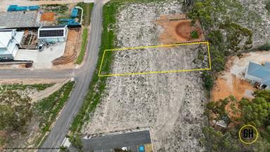 Residential Block For Sale - NSW - Murray Downs - 2734 - Your Dream Escape in a Private Murray River Estate (Image 2)