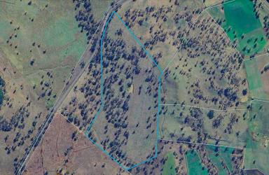 Mixed Farming For Sale - NSW - Willow Tree - 2339 - UNIQUE 102 ACRES WITH DWELLING ENTITLEMENT  (Image 2)