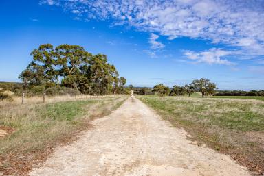 Mixed Farming For Sale - SA - Lochaber - 5271 - Sheringa  (Image 2)