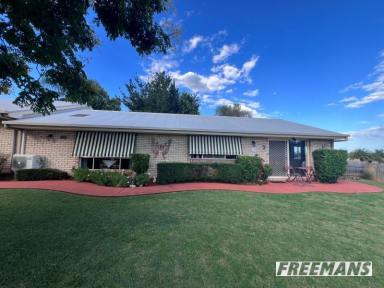 Block of Units For Sale - QLD - Kingaroy - 4610 - Triplex with no body corp, option to live in the house at the rear of the complex  (Image 2)