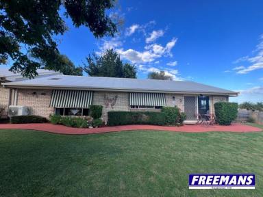 Block of Units For Sale - QLD - Kingaroy - 4610 - Triplex with no body corp, option to live in the house at the rear of the complex  (Image 2)