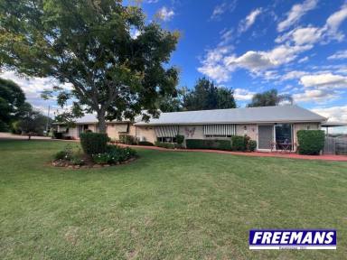 Block of Units For Sale - QLD - Kingaroy - 4610 - Triplex with no body corp, option to live in the house at the rear of the complex  (Image 2)