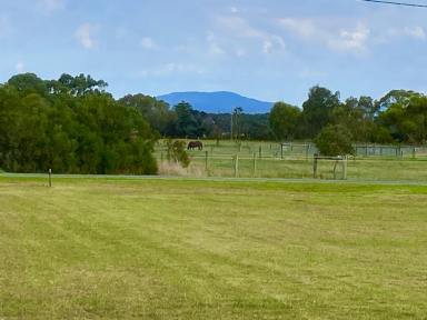 Residential Block For Sale - VIC - Welshpool - 3966 - Classic quarter acre blocks close to the coast  (Image 2)