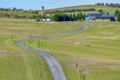 Other (Rural) For Sale - NSW - Laggan - 2583 - "Prime Acreage, Premium Living"  (Image 2)