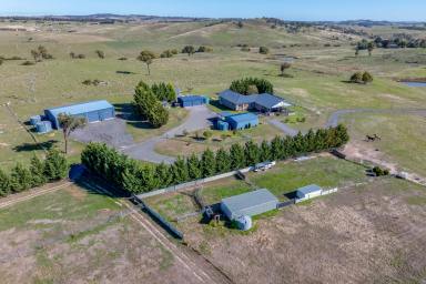 Other (Rural) For Sale - NSW - Laggan - 2583 - "Prime Acreage, Premium Living"  (Image 2)