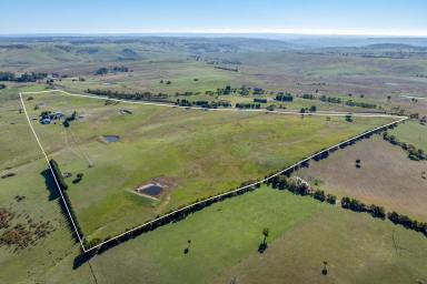 Other (Rural) For Sale - NSW - Laggan - 2583 - Mali Farm – A Stunning Lifestyle Property Offering Space, Comfort and Rural Elegance (Image 2)